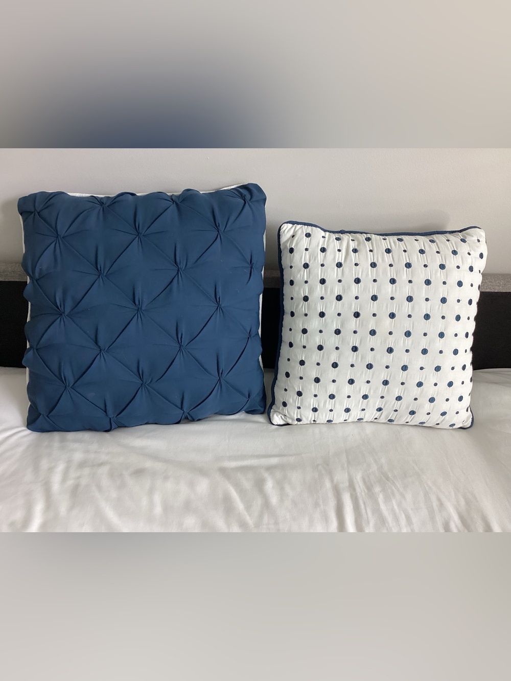 Blue Pintuck and Polka Dot Pillow Duo